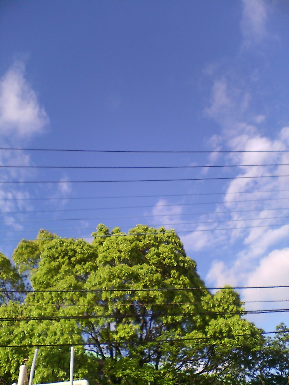 c0005699_7343868.jpg