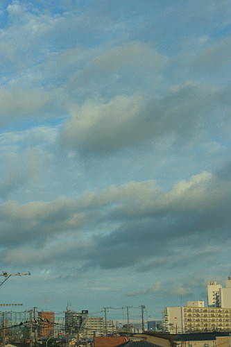 c0044199_11595687.jpg