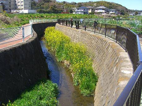 e0077899_7253452.jpg
