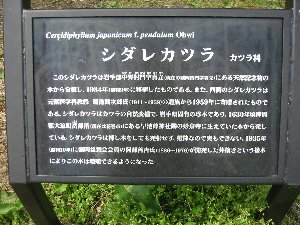 e0122199_16251223.jpg