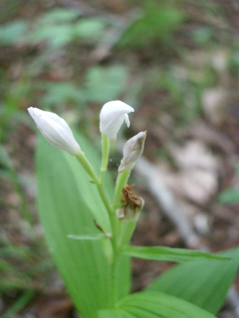 e0025300_14104364.jpg