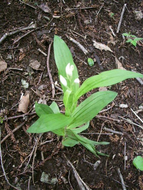 e0025300_1412175.jpg