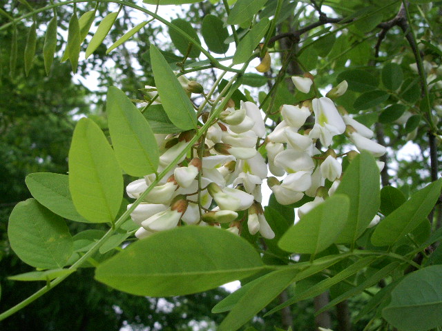 e0025300_14201557.jpg