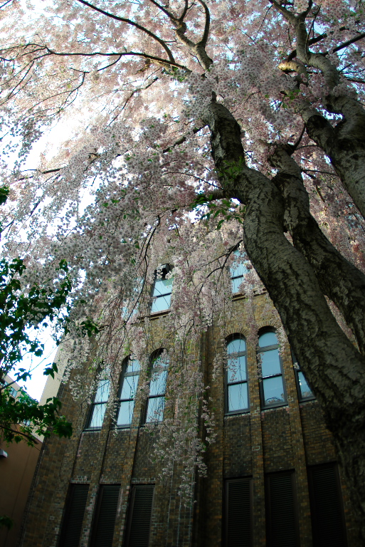 f0002701_6522177.jpg