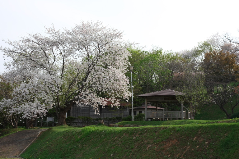 f0002701_6523637.jpg