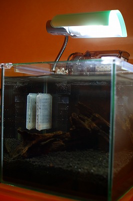 e0145805_21471873.jpg