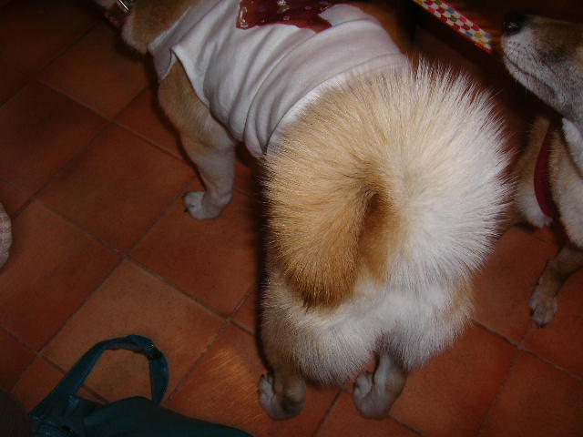 d0101409_16135161.jpg