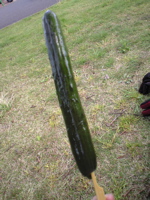 f0006509_2254030.jpg