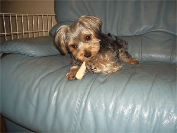 c0143711_22133819.gif