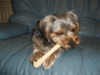 c0143711_22134924.gif