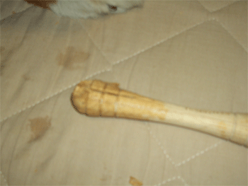 c0143711_22221536.gif