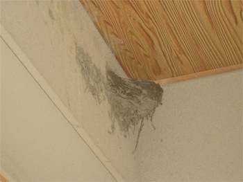 c0143711_22252110.gif