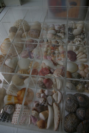 e0105916_7563079.jpg