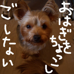 c0036617_18311747.jpg