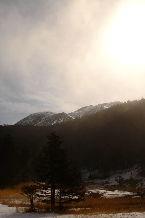 a0042120_032611.jpg