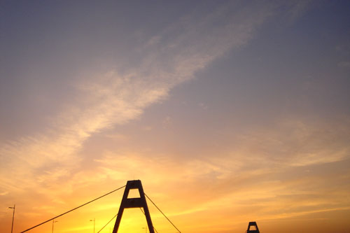a0042120_04263.jpg