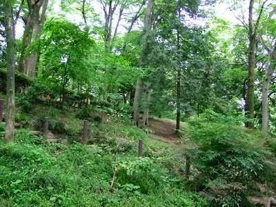 d0023323_2503996.jpg