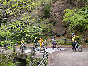 d0023725_15553774.jpg