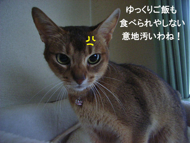 d0081025_20111574.jpg