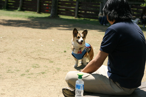 e0071225_21173661.jpg