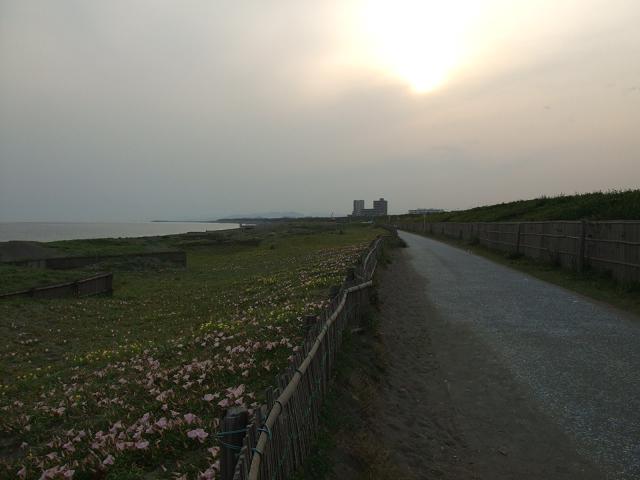 b0046527_0124568.jpg