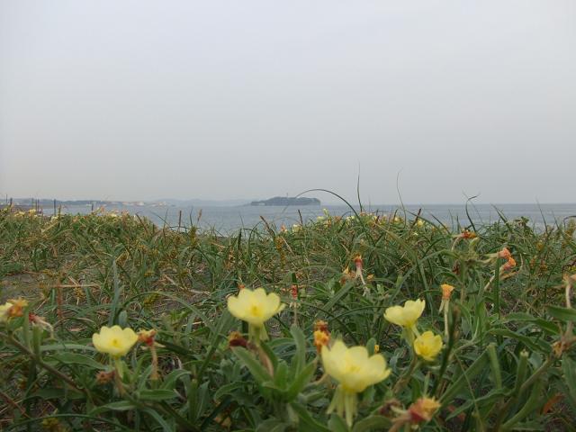b0046527_016418.jpg