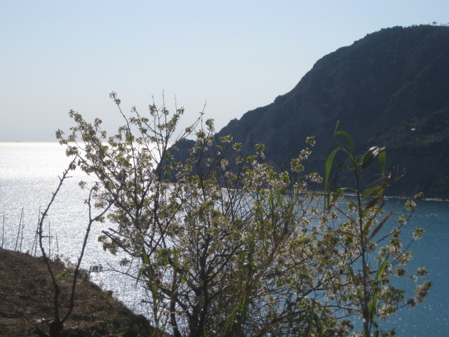 d0147727_18221677.jpg