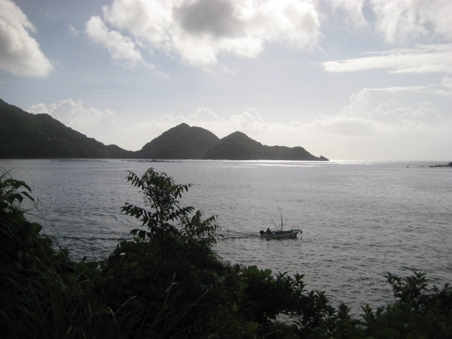 d0147727_19192365.jpg
