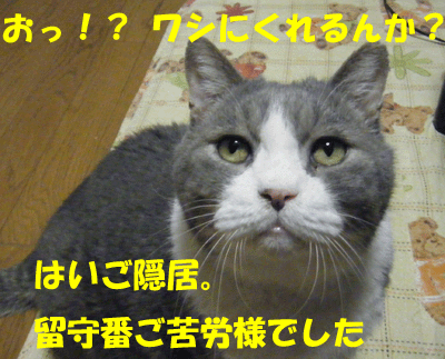 f0008935_21552291.gif