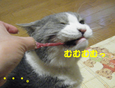 f0008935_21555683.gif