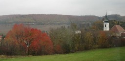 d0064742_1031789.jpg