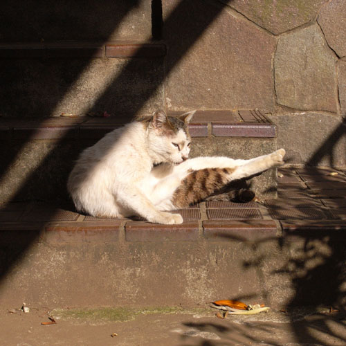 f0149442_0225499.jpg