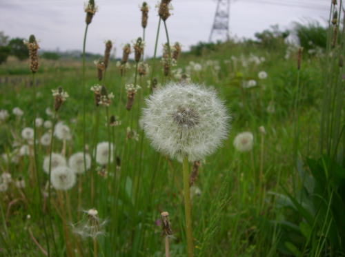 f0094843_045419.jpg