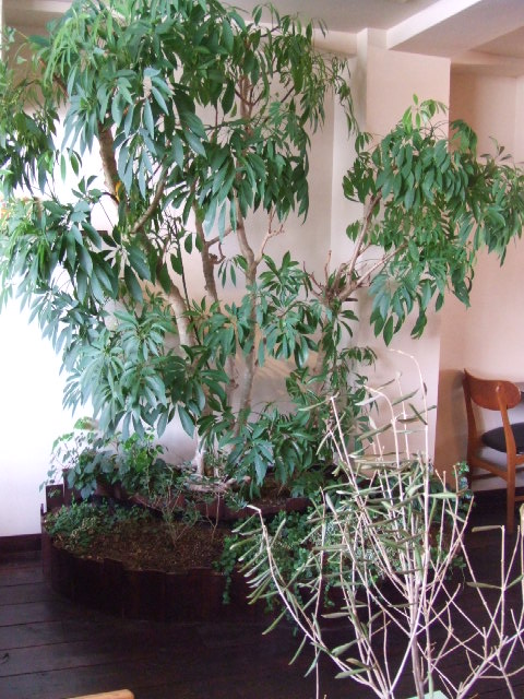 c0071545_22461640.jpg
