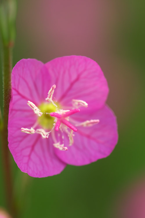 a0003746_16334183.jpg