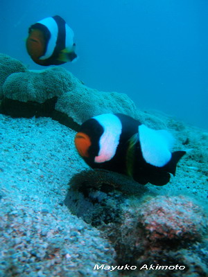 e0027447_12555039.jpg