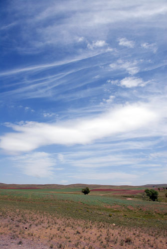 b0006449_10311149.jpg