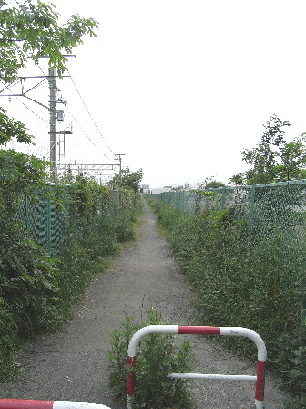 d0013149_7541251.jpg