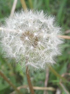 d0013149_8231214.jpg