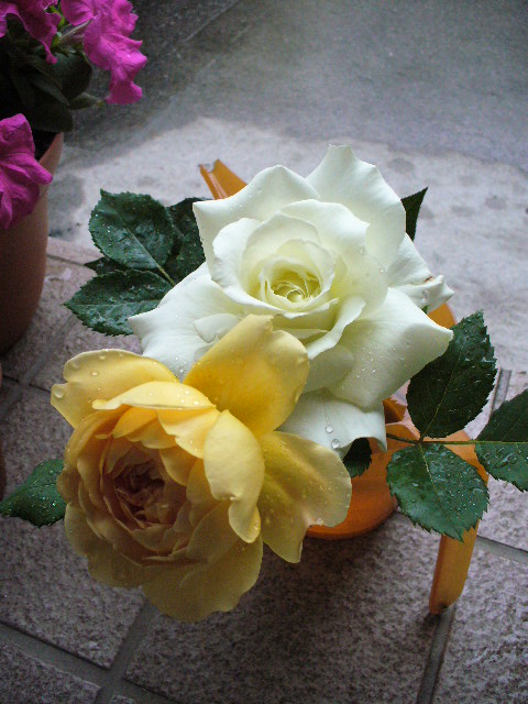 f0074659_22403956.jpg