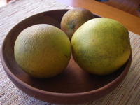 a0048361_3504132.jpg