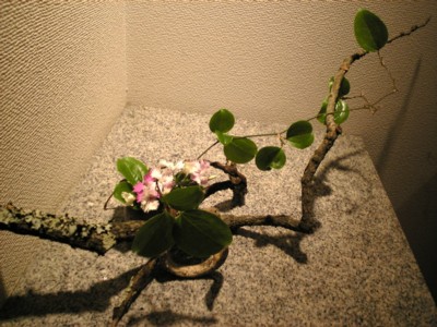 c0136162_1851380.jpg