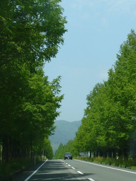 a0063364_2346687.jpg
