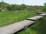 e0041168_9284627.jpg