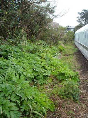 e0097770_21394746.jpg