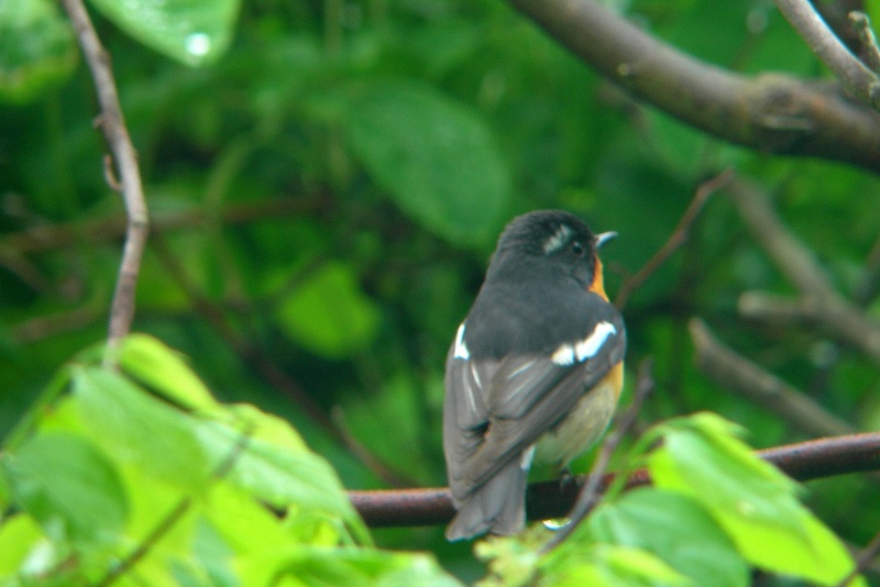 f0137673_23385121.jpg