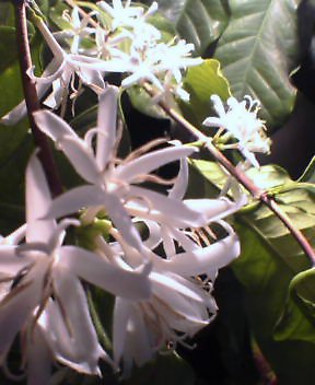 a0091181_18352411.jpg