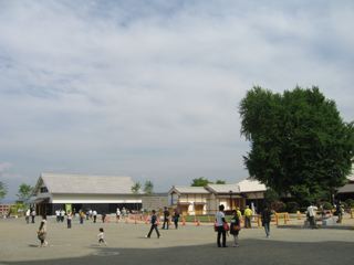 e0132881_051258.jpg