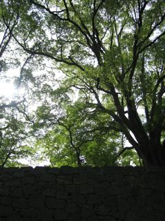 e0132881_055759.jpg