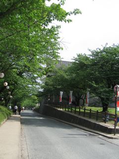e0132881_063823.jpg